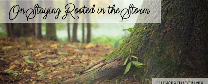 Rooted in the Storm